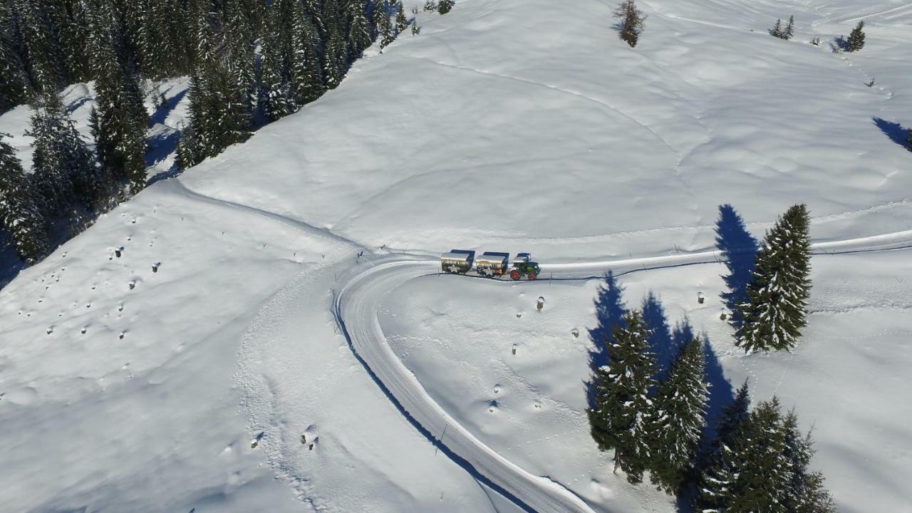 Ski In-Ski Out - Gaestehaeuser Saalbach-Hinterglemm - Wallegghof Christianhof Extérieur photo